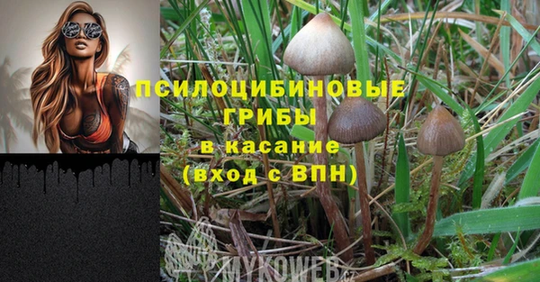 СК Надым
