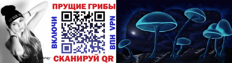 даркнет как зайти  hydra tor  Псилоцибиновые грибы MAGIC MUSHROOMS  Туапсе  где найти  